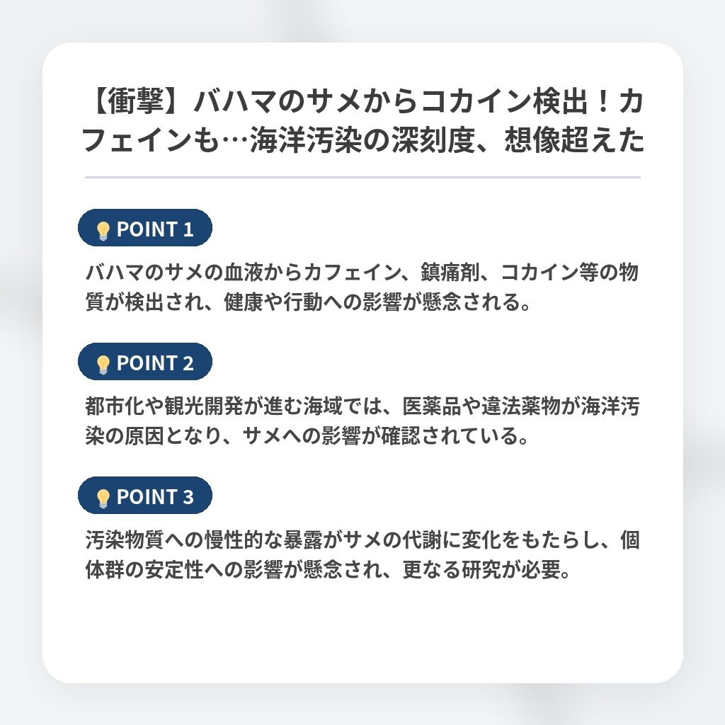 【衝撃】バハマのサメからコカイン検出!カフェインも…海洋汚染の深刻度、想像超えたの注目ポイントまとめ
