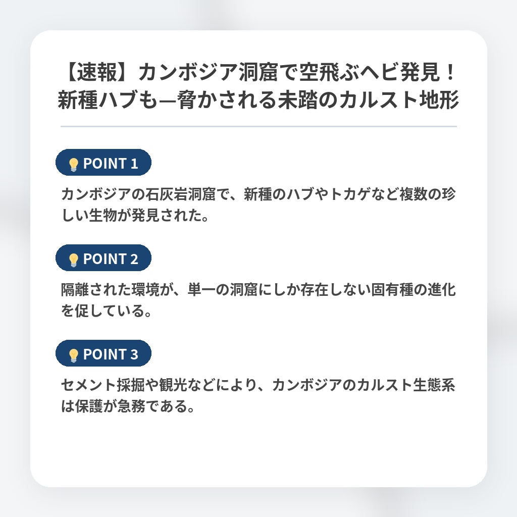 【速報】カンボジア洞窟で空飛ぶヘビ発見！新種ハブも—脅かされる未踏のカルスト地形の注目ポイントまとめ
