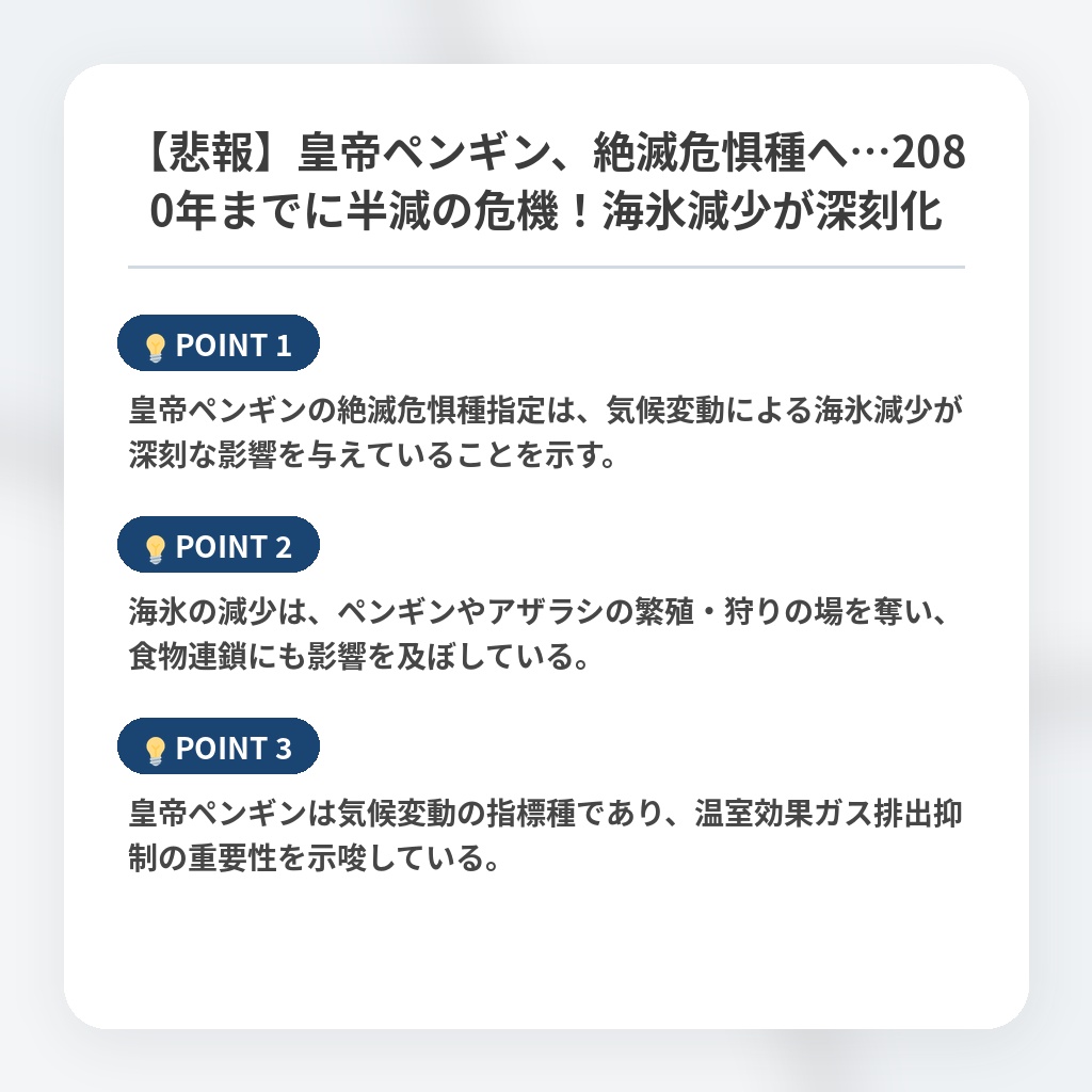 【悲報】皇帝ペンギン、絶滅危惧種へ…2080年までに半減の危機！海氷減少が深刻化の注目ポイントまとめ
