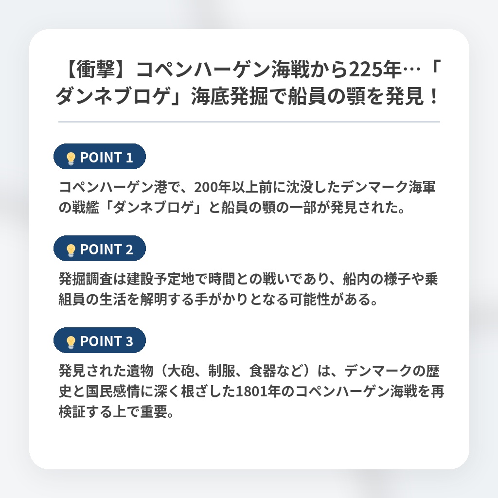 【衝撃】コペンハーゲン海戦から225年…「ダンネブロゲ」海底発掘で船員の顎を発見！の注目ポイントまとめ