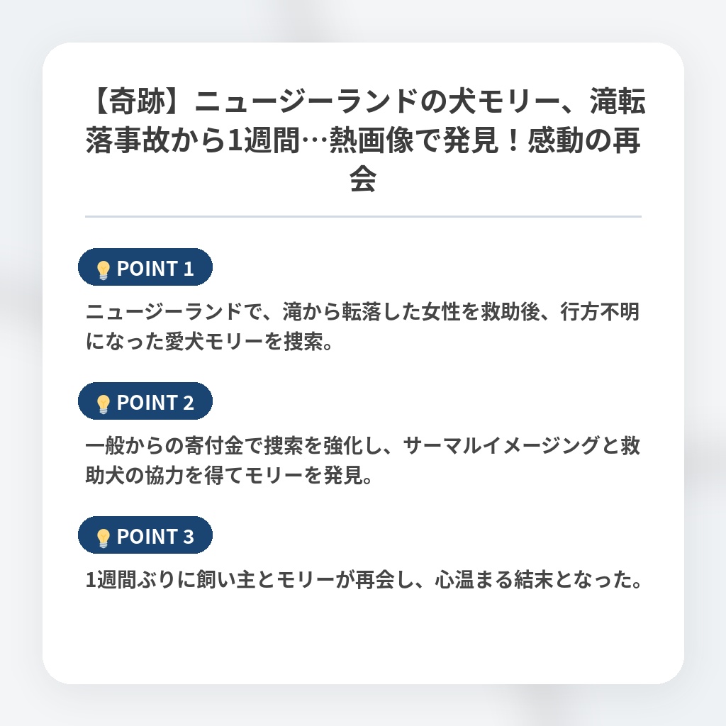 【奇跡】ニュージーランドの犬モリー、滝転落事故から1週間…熱画像で発見！感動の再会の注目ポイントまとめ