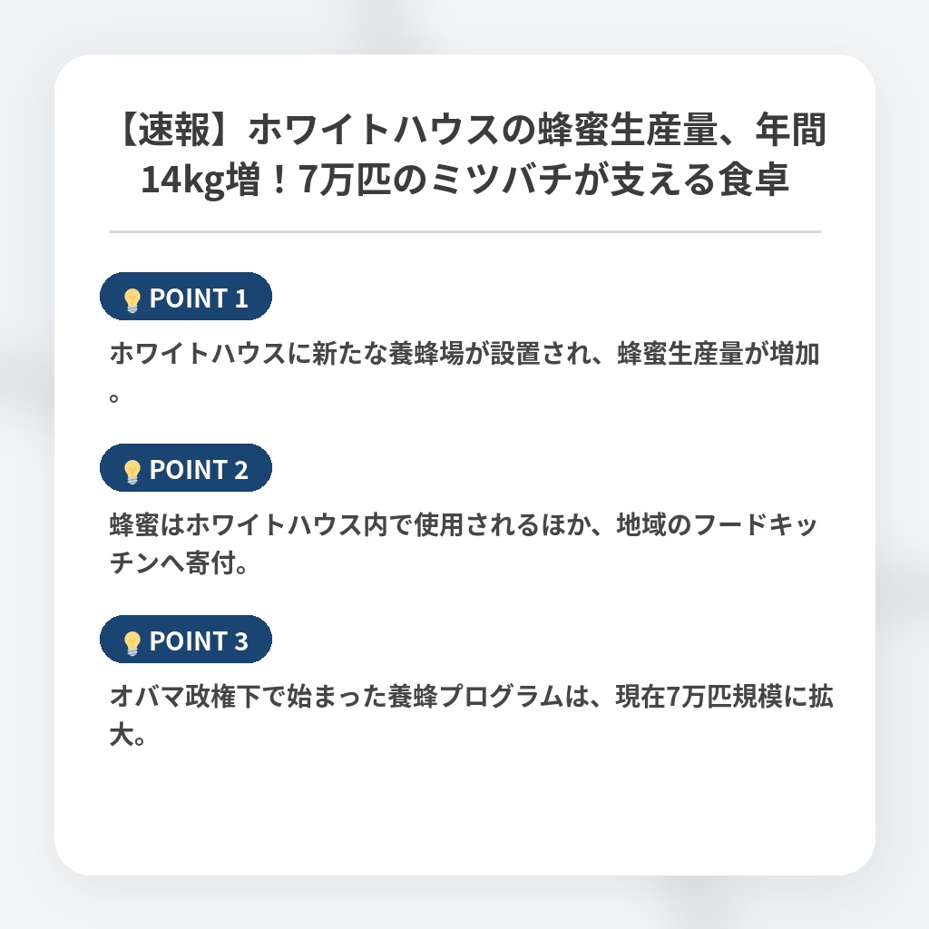 【速報】ホワイトハウスの蜂蜜生産量、年間14kg増！7万匹のミツバチが支える食卓の注目ポイントまとめ