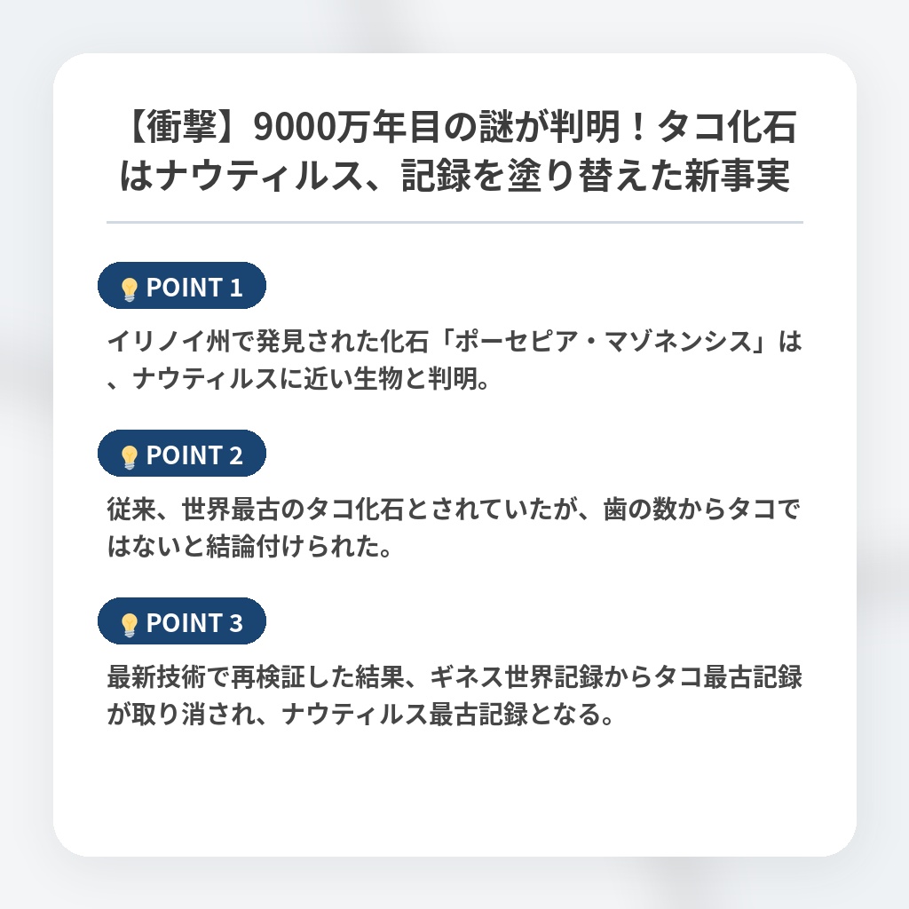 【衝撃】9000万年目の謎が判明!タコ化石はナウティルス、記録を塗り替えた新事実の注目ポイントまとめ