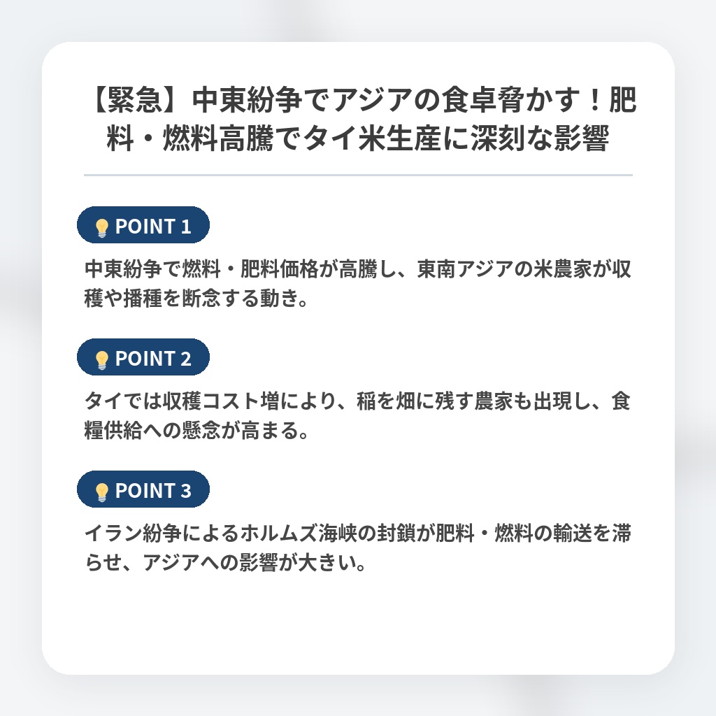 【緊急】中東紛争でアジアの食卓脅かす!肥料・燃料高騰でタイ米生産に深刻な影響の注目ポイントまとめ