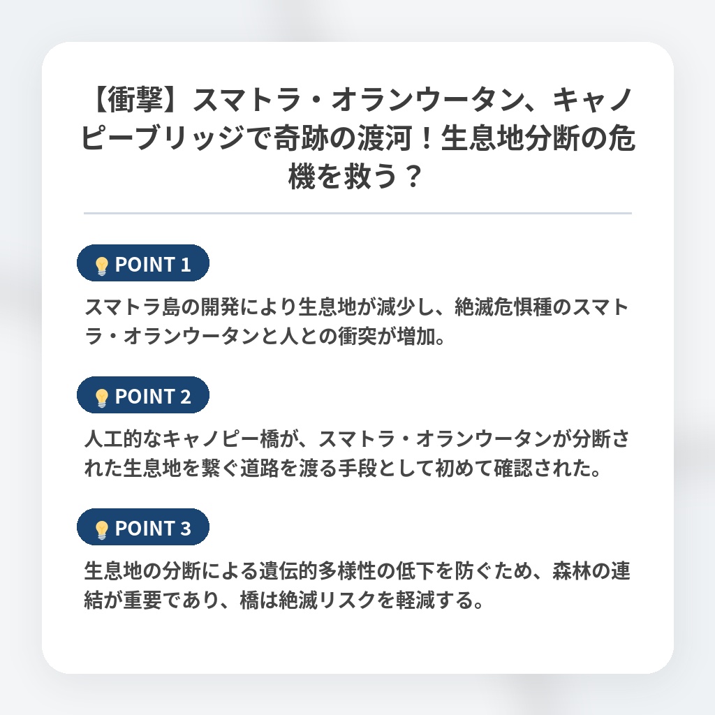 【衝撃】スマトラ・オランウータン、キャノピーブリッジで奇跡の渡河！生息地分断の危機を救う？の注目ポイントまとめ