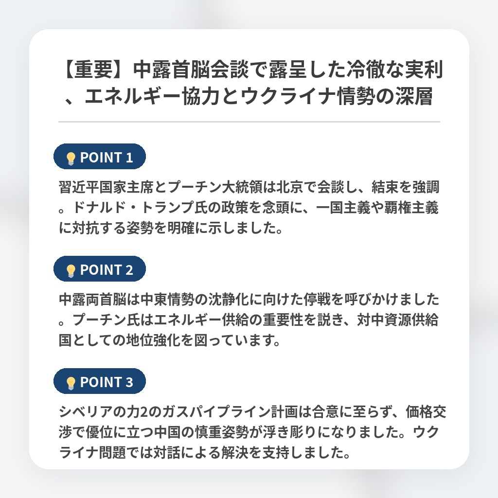 【重要】中露首脳会談で露呈した冷徹な実利、エネルギー協力とウクライナ情勢の深層の注目ポイントまとめ