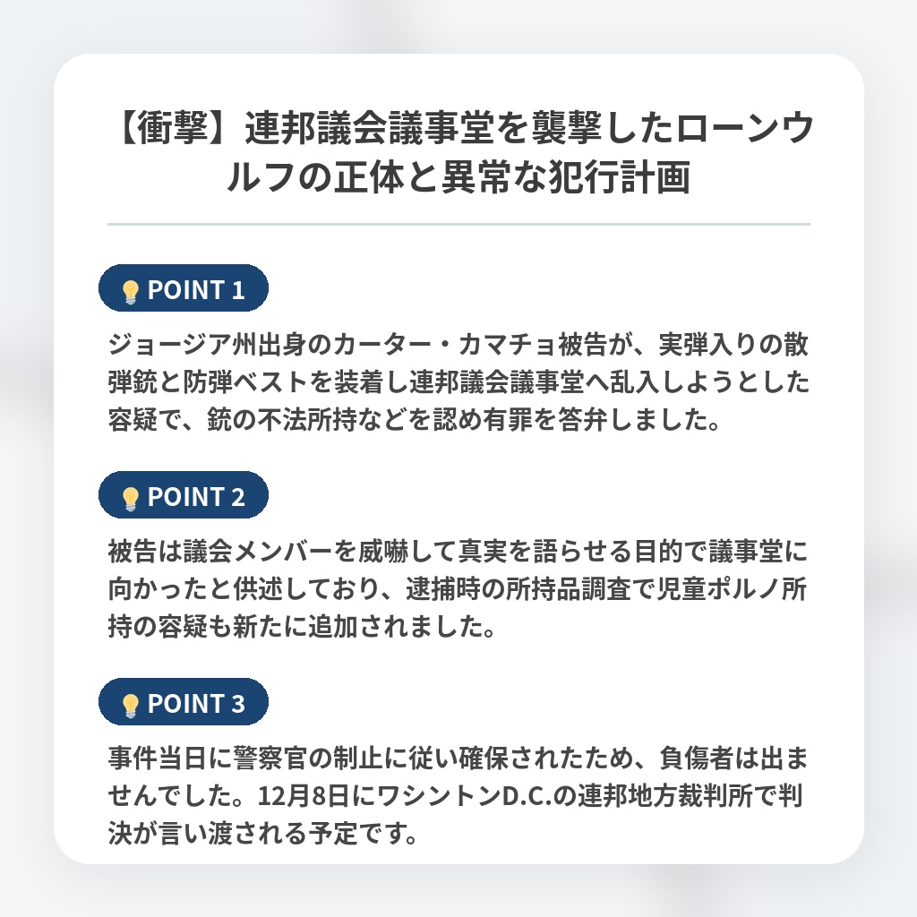 【衝撃】連邦議会議事堂を襲撃したローンウルフの正体と異常な犯行計画の注目ポイントまとめ