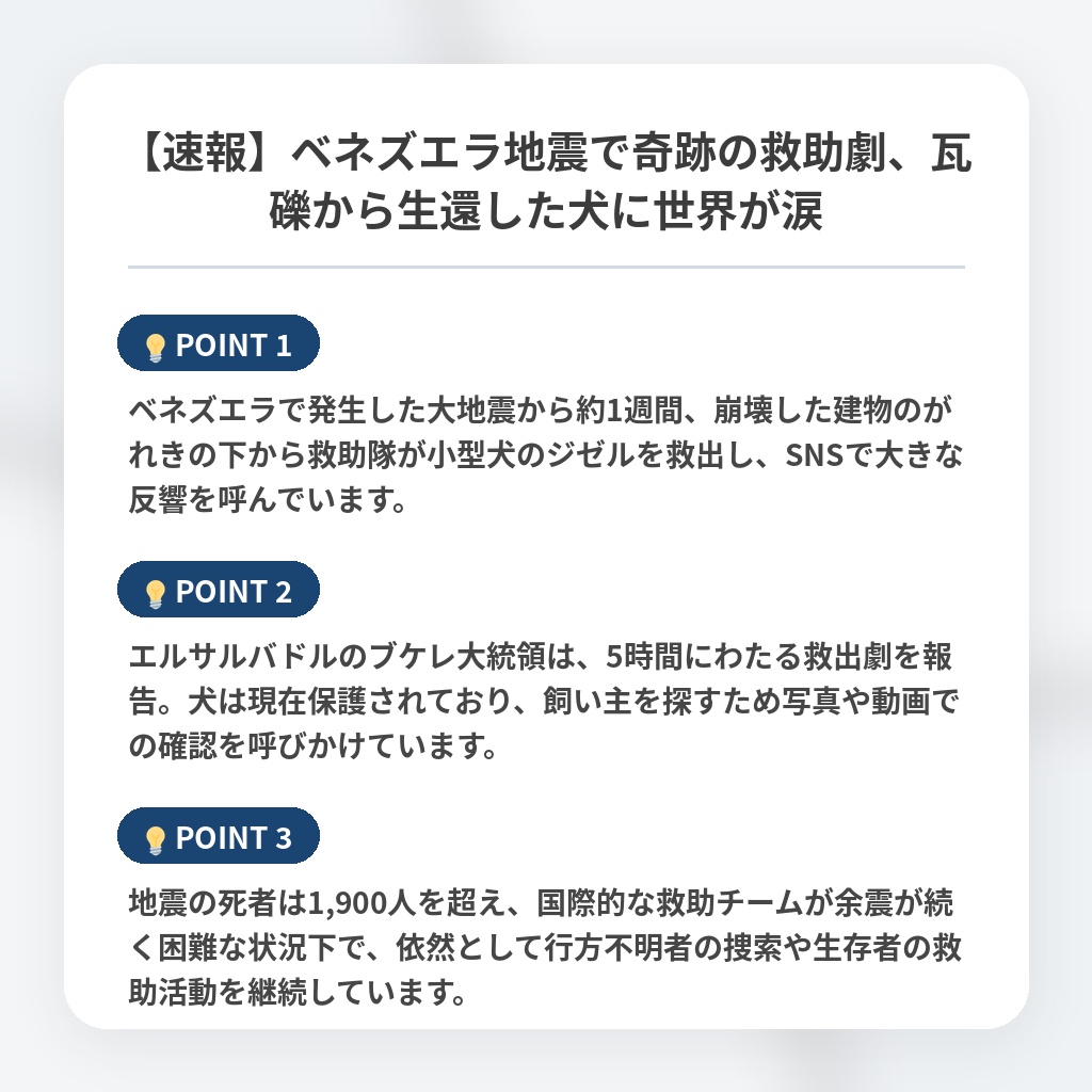 【速報】ベネズエラ地震で奇跡の救助劇、瓦礫から生還した犬に世界が涙の注目ポイントまとめ