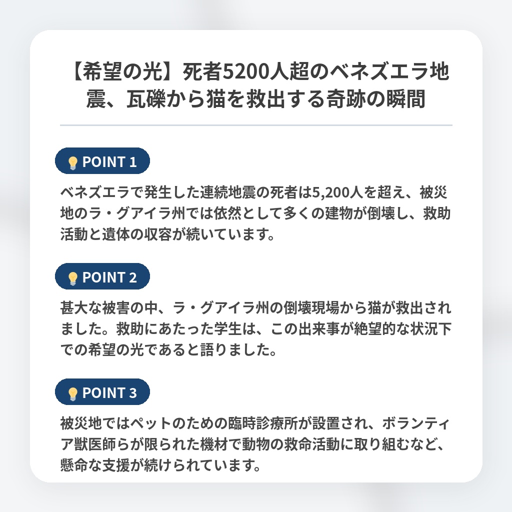 【希望の光】死者5200人超のベネズエラ地震、瓦礫から猫を救出する奇跡の瞬間の注目ポイントまとめ