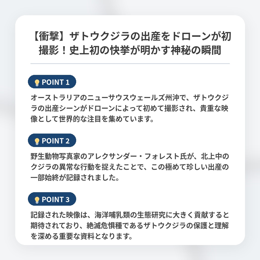【衝撃】ザトウクジラの出産をドローンが初撮影！史上初の快挙が明かす神秘の瞬間の注目ポイントまとめ